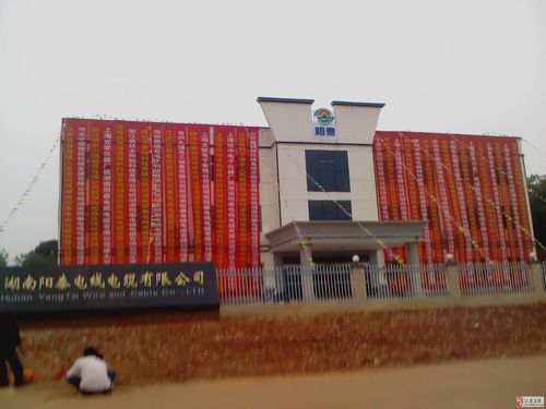 阳泰电线电缆招仓管员